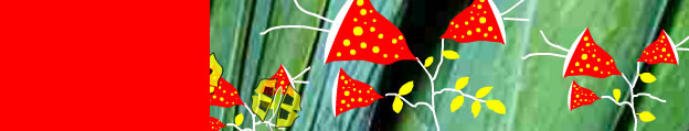 imatge camp_u